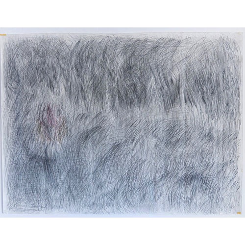 'Helmgras - dunes', graphite on grounded paper, 88.5 x 99.5 cm, 2005